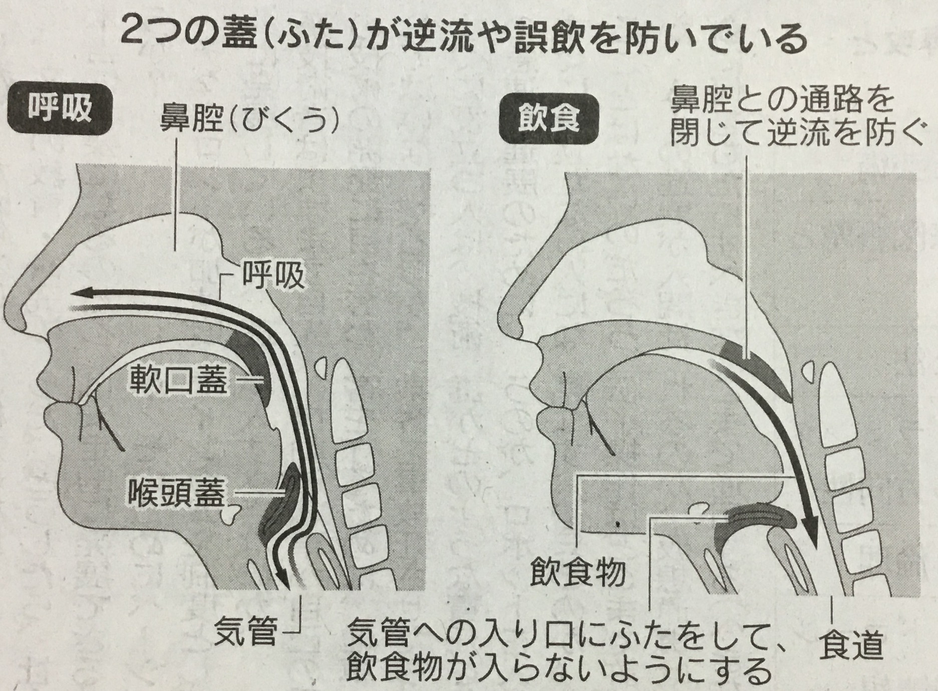 飲み込む力