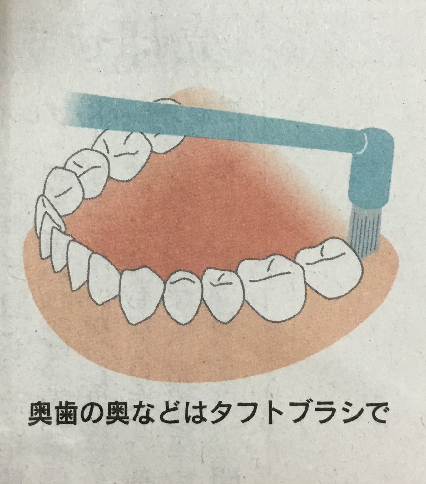 40歳を超えますと