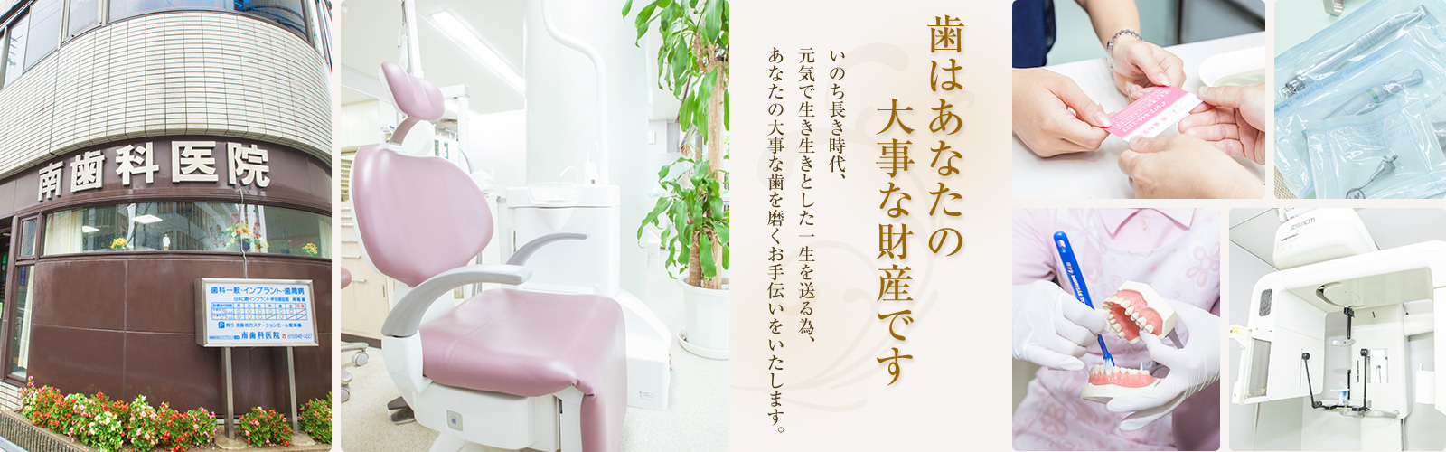 歯はあなたの大事な財産です